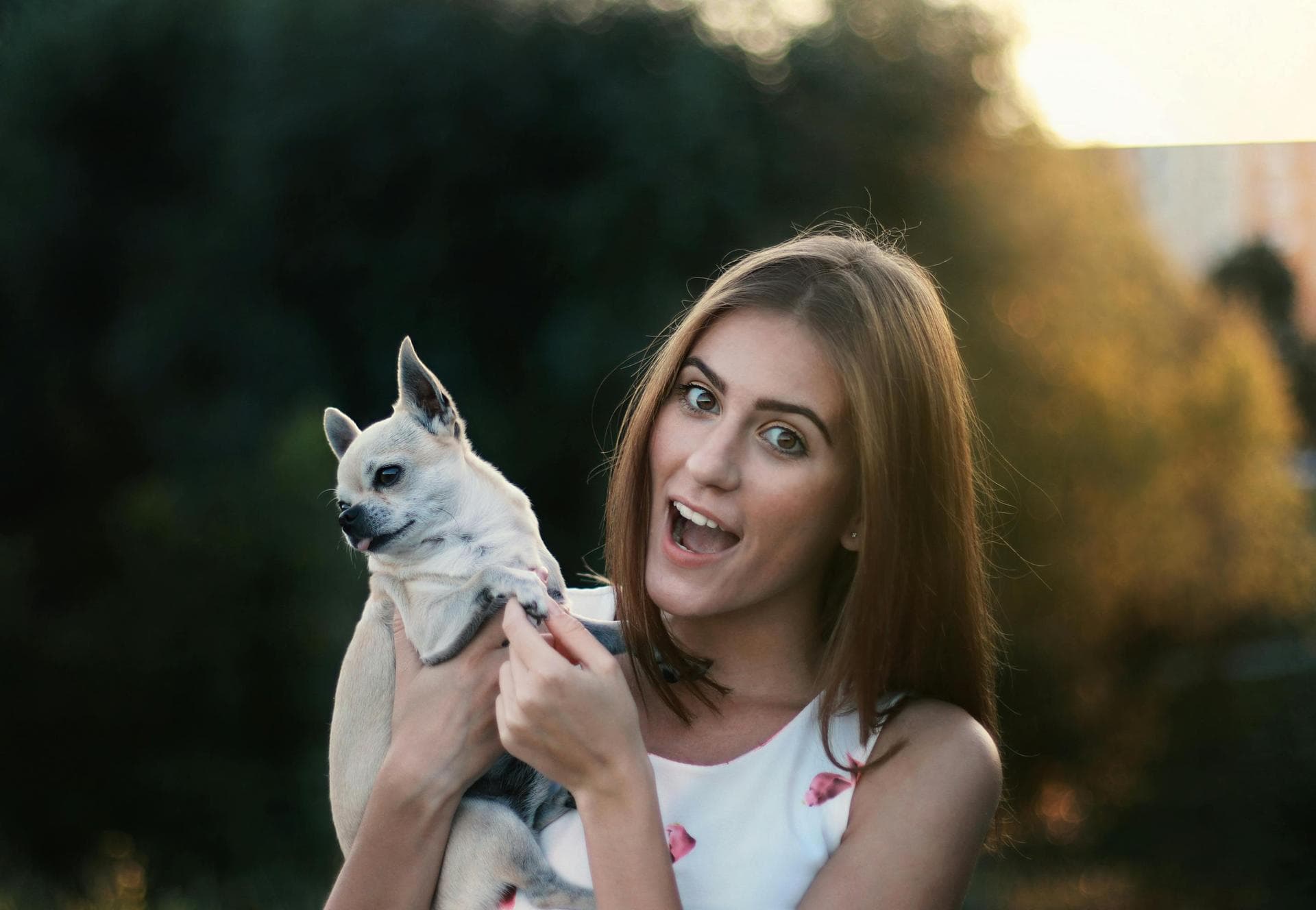 Cat Spay Castrate Neutering Prices in Cardiff